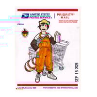 USPS 03 - Raccoon kid