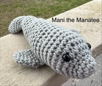 Image 3 of Mani the Manatee