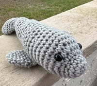 Image 4 of Mani the Manatee