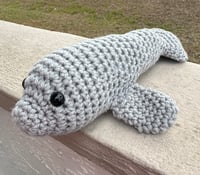 Image 2 of Mani the Manatee