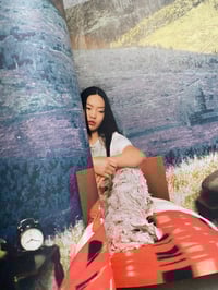 Image 7 of REVUE OCCASION #02