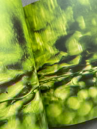 Image 7 of REVUE OCCASION #01