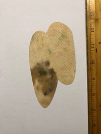 Image 2 of 1970’s Spaulding & Roger’s hand colored pork chop flash Rose