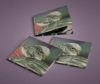 Image 1 of Various Artists - Never Turn Your Back On A Friend - Budgie Tribute - 50 Years Later CD