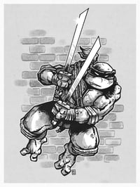 Image 1 of TMNT and Splinter Prints