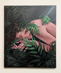 Image 1 of The Understory