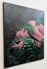 Image 3 of The Understory