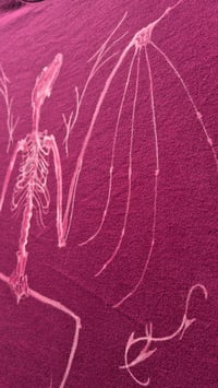 Image 3 of Bat skeleton shirt