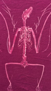 Image 4 of Bat skeleton shirt