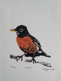 Robin (limited edition)