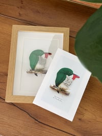 Image 1 of Estampa típica "San Pedrito" | 4"x6" | formato digital