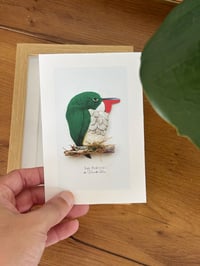 Image 2 of Estampa típica "San Pedrito" | 4"x6" | formato digital