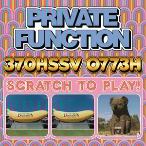 Image of Private Function - 370HSSV 0773H LP