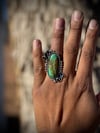 Royston Turquoise ring 