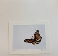 Image 2 of Monarch (limited edition)