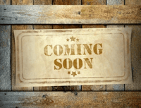 **GARAGE SALE ITEM OEM Ruckus Engine 