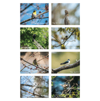 Image 2 of Postcard Sets