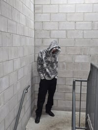 Image 2 of "URBANFLORA"