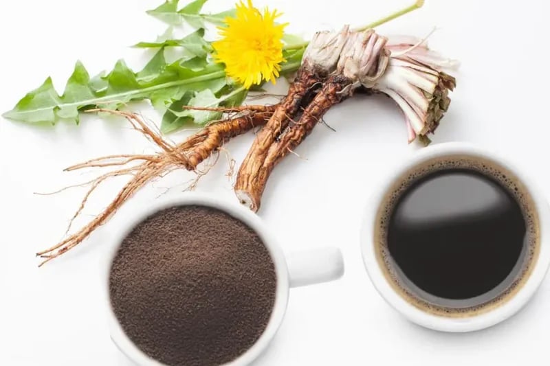 COFFEE ALTERNATIVES: RAMÓN CALM! FIGLY YOURS! DATELY GRIND! DANDETOX! DANDETOX BLUE!