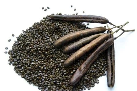 COFFEE ALTERNATIVES: RAMÓN CALM! FIGLY YOURS! DATELY GRIND! DANDETOX! DANDETOX BLUE!