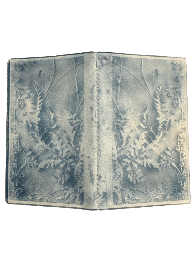 "WILD" SUN PRINT NOTEBOOK REFILL {PACK OF 3}