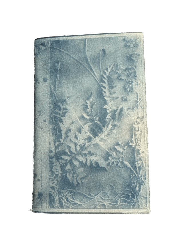 "WILD" SUN PRINT NOTEBOOK REFILL {PACK OF 3}