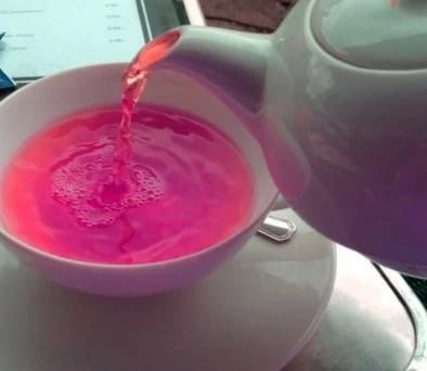 BERRIES: BLACKBERRY-STRAWBERRY-BLUEBERRIES-RASPBERRY-JAMBOLAN-Asé-ACAI-POMEGRANATE-GOOSEBERRY