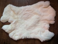 Image 1 of White Back Pelt