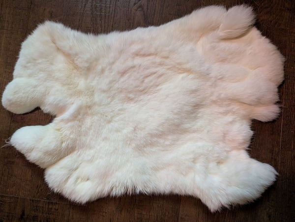 Image of White Back Pelt
