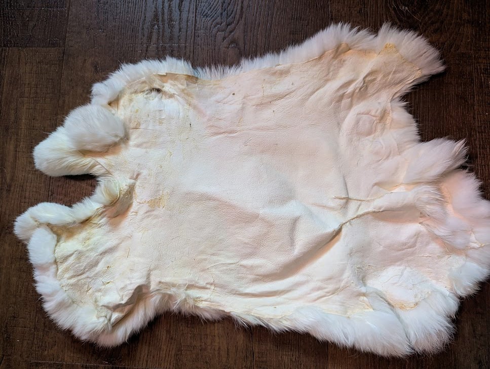 Image of White Back Pelt