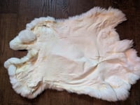 Image 2 of White Back Pelt