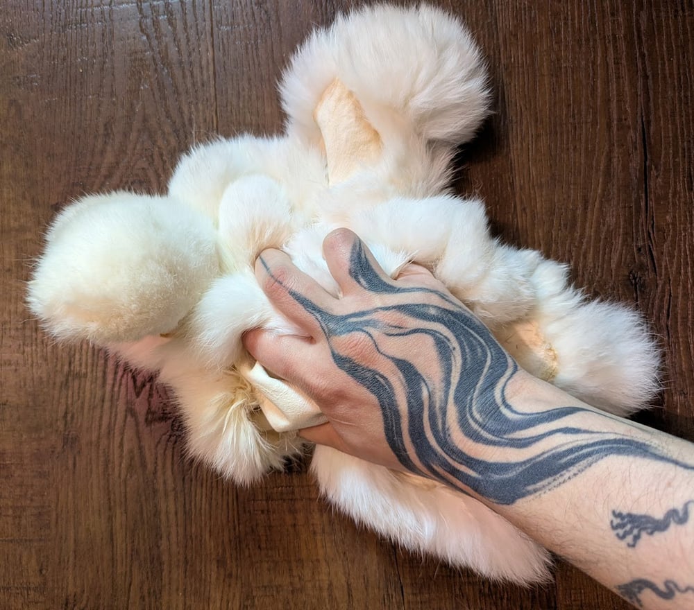 Image of White Back Pelt