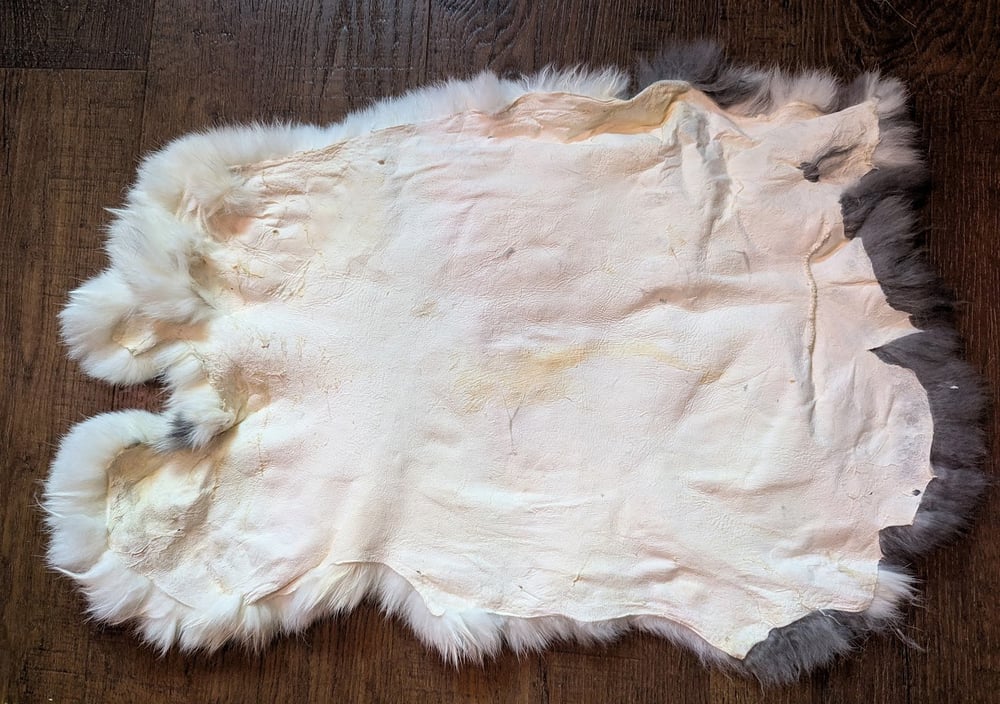 Image of Blue Clouded Vienna Back Pelt