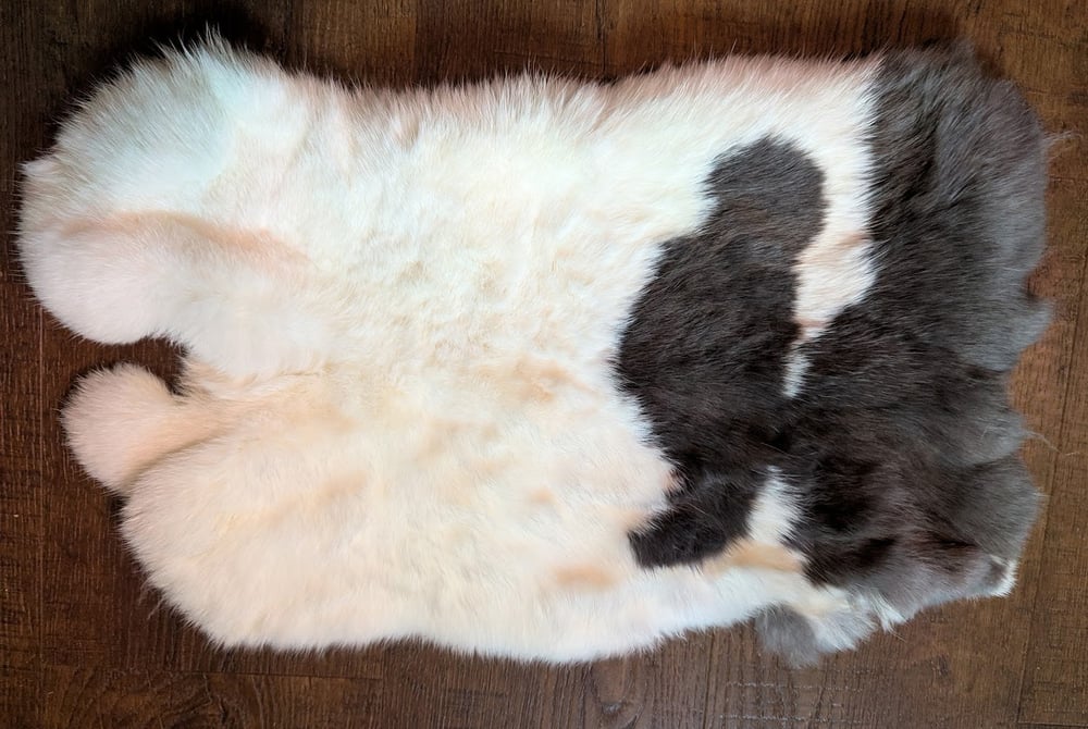 Image of Blue Clouded Vienna Back Pelt