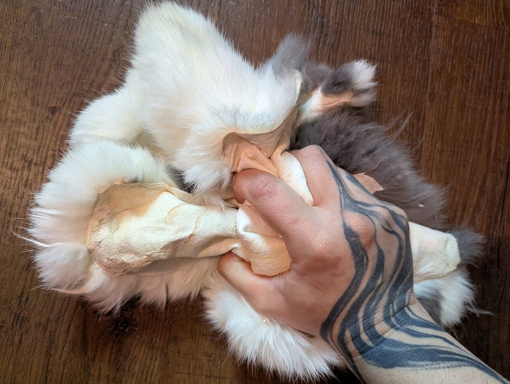 Image of Blue Clouded Vienna Back Pelt