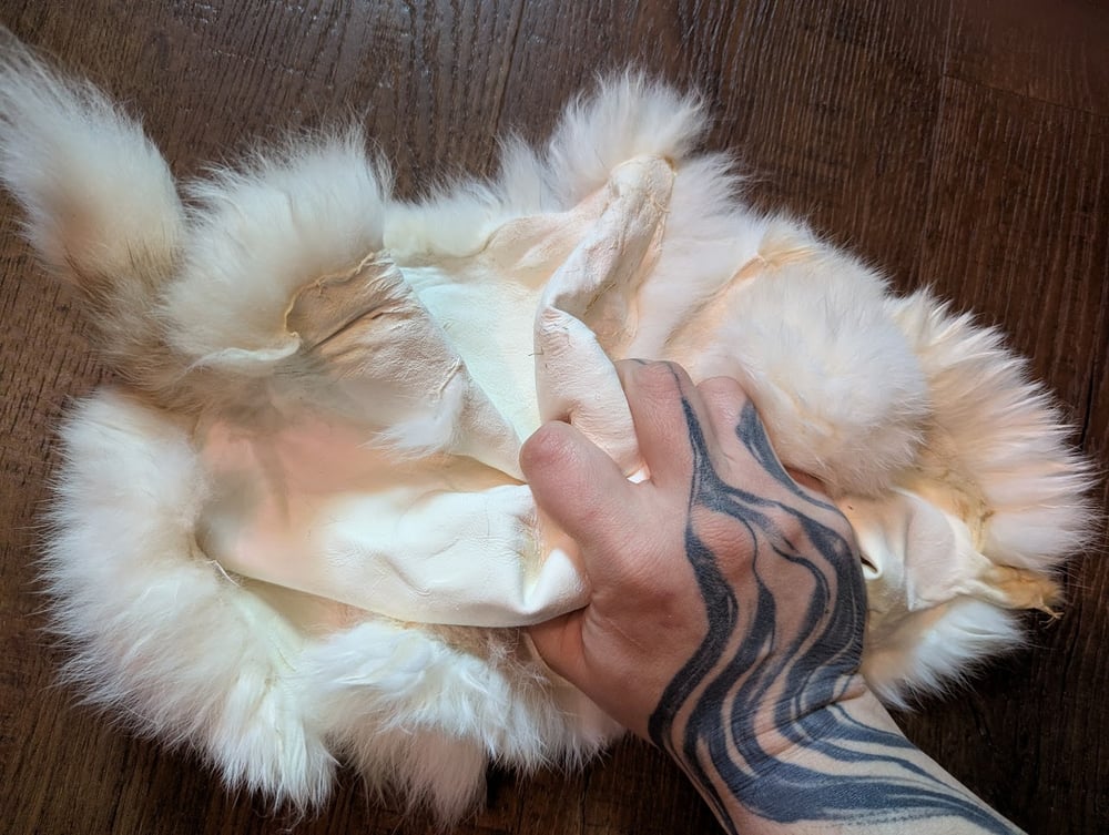 Image of Patched White Back Pelt