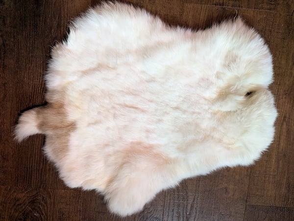 Image of Patched White Back Pelt