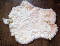 Image 2 of Patched White Back Pelt