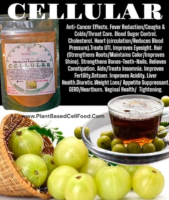 BERRIES: BLACKBERRY-STRAWBERRY-BLUEBERRIES-RASPBERRY-JAMBOLAN-Asé-ACAI-POMEGRANATE-GOOSEBERRY