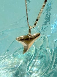 Image 2 of 14k Shark Tooth pendant 