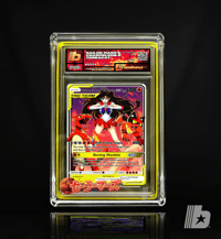 Image 2 of "Sailor Mars's Charmeleon & Torracat"