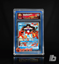 Image 4 of "Sailor Mars's Charmeleon & Torracat"