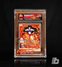 Image 6 of "Sailor Mars's Charmeleon & Torracat"