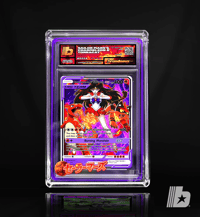 Image 7 of "Sailor Mars's Charmeleon & Torracat"