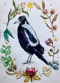 Image 4 of Australian Magpie Watercolour A4 Print