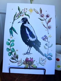 Image 3 of Australian Magpie Watercolour A4 Print