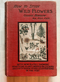 Image 1 of How to study wild flowers by George Henslow