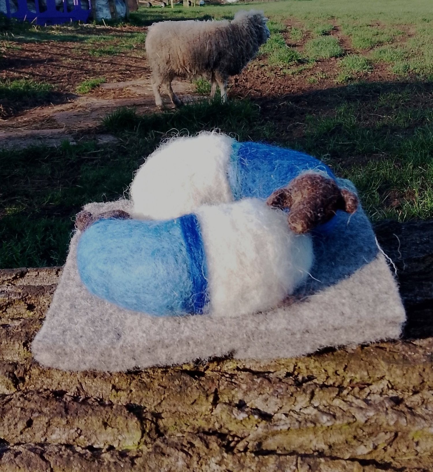 Image of SHEEP IN SWEATERS - SLEEPING LAMBS
