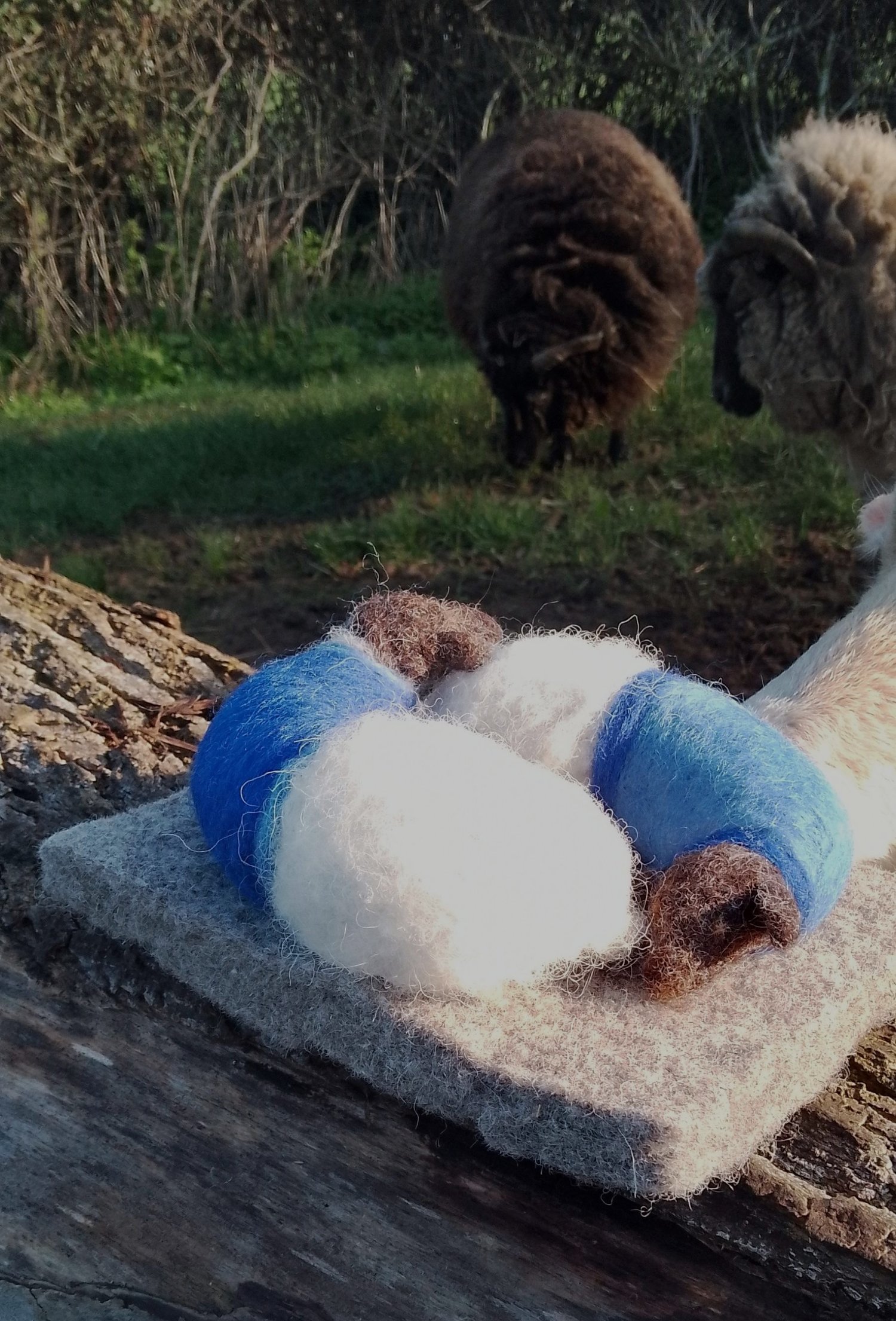 Image of SHEEP IN SWEATERS - SLEEPING LAMBS