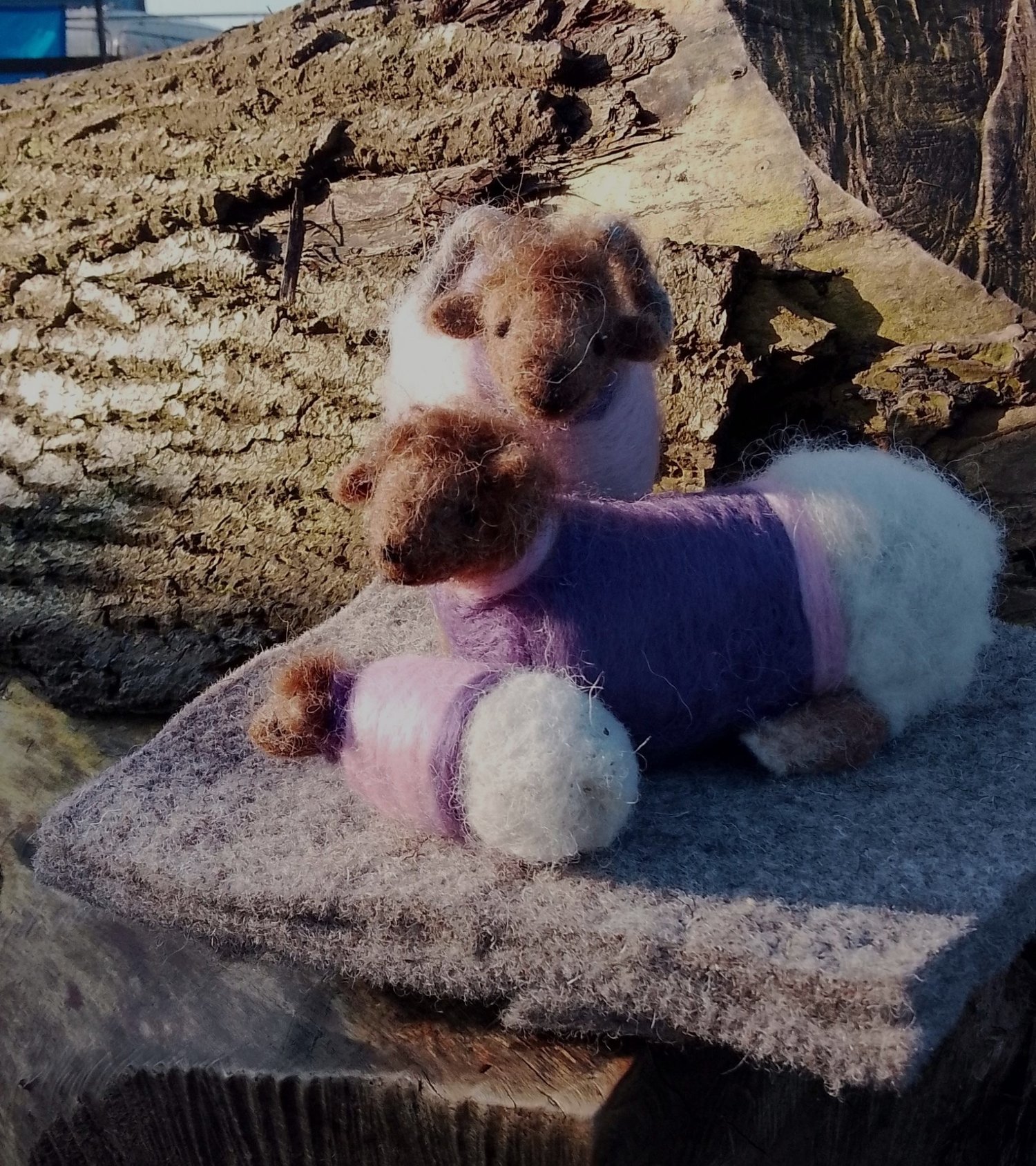 Image of SHEEP IN SWEATERS - FAMILY GROUP